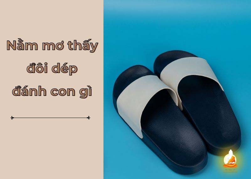 mơ thấy dép đánh gì